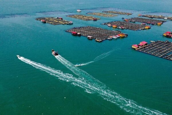 Fujian builds diverse food supply system with all-encompassing approach to food