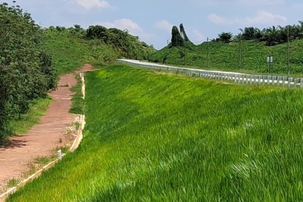 Punjab Forest deptt starts using hydroseeding technology for barren lands