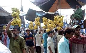 Pakistan’s banana harvest hits record 317,000 tonnes in FY 25