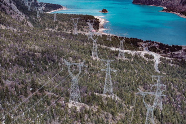 Three observations on China’s top 500 enterprises