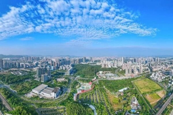 Guangdong-Hong Kong-Macao Greater Bay Area sees vital scientific innovation