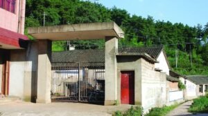 Spring manufacturer in E China finds its bounce on new track of growth