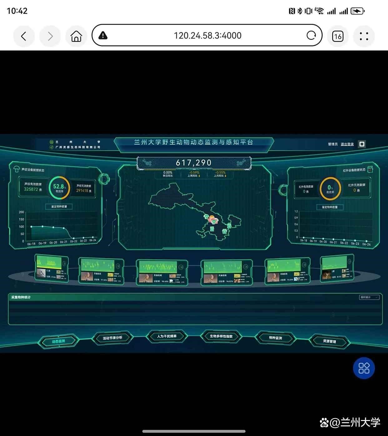 Lanzhou uses acoustic technology to monitor, protect birdlife