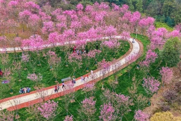 China's green transformation: a global asset