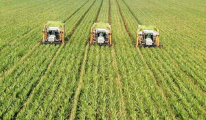 Punjab rolls out Rs60bn agro parks to boost exports