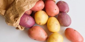 Pakistan develops four potato varieties for fries, chips industry