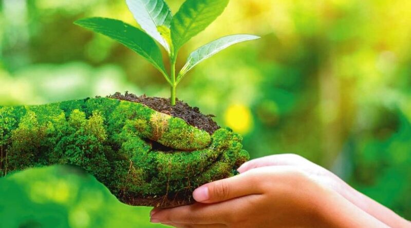 165 conservation committees formed in villages under Green Pakistan initiative