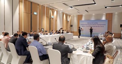 China Sri Lanka friendship symposium highlights potential for deeper cooperation1