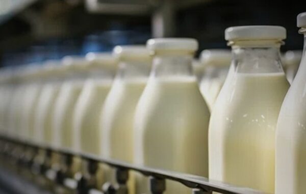 Rs1b dairy mechanization scheme planned to benefit 6,400 Punjab farmers