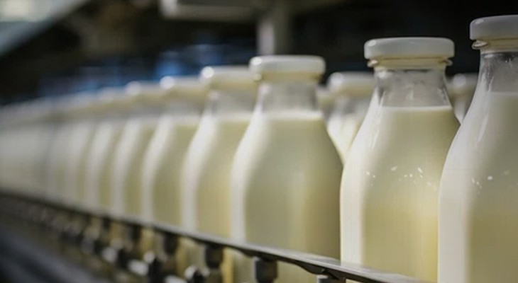Rs1b dairy mechanization scheme planned to benefit 6,400 Punjab farmers