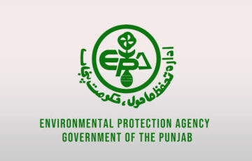 Pakistan plans $15m boost for 800 women-led green startups 2 Pakistan plans $15m boost for 800 women-led green startups
