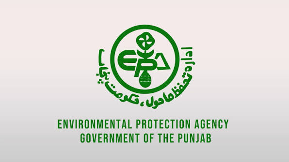 Pakistan plans $15m boost for 800 women-led green startups