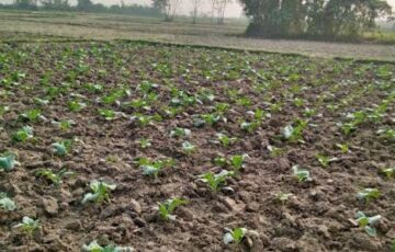 Floating farming project worth $9.15m proposed for 100 Sindh villages