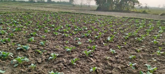 Floating farming project worth $9.15m proposed for 100 Sindh villages
