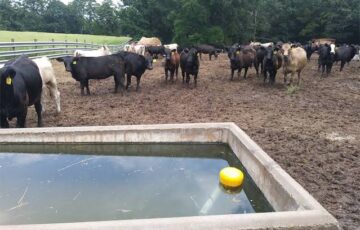 Saudi Arabia funds livestock ponds and water tanks project in Balochistan