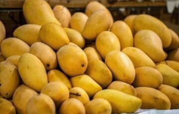 Pakistan’s mango pulp export earnings reach $1.13 million in FY26