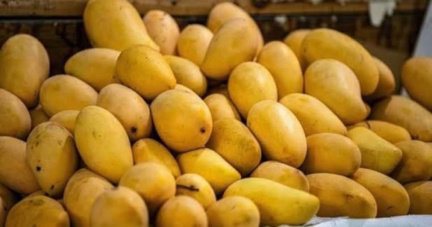 Pakistan’s mango pulp export earnings reach $1.13 million in FY26