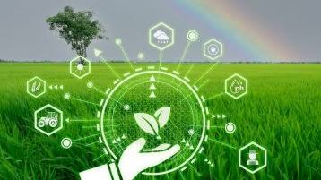 Punjab launches £300,000 plan to promote climate-smart farming in desert regions